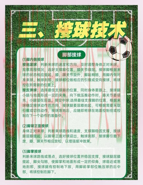 全方位解析B体育综合版体验