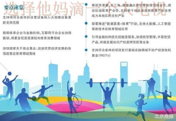 深入解析亚盈体育科技控股的行业影响